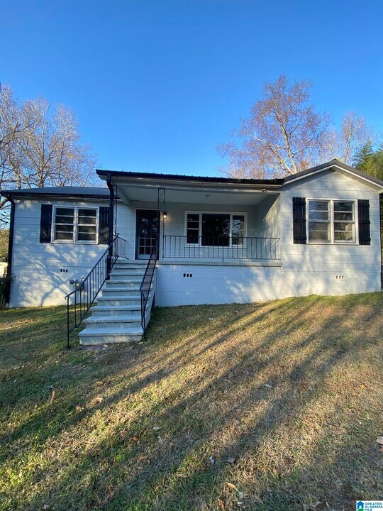 320 23rd Ave NE in Center Point, AL - Building Photo