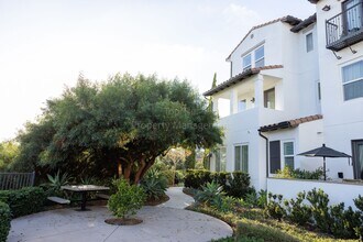 1841 Cliff Swallow Ln in Carlsbad, CA - Building Photo - Building Photo