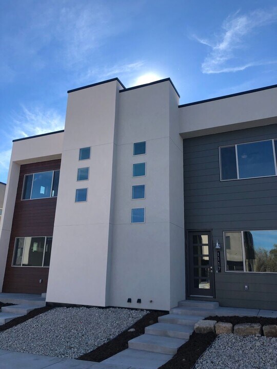 1117 Agate Ln in Poncha Springs, CO - Building Photo