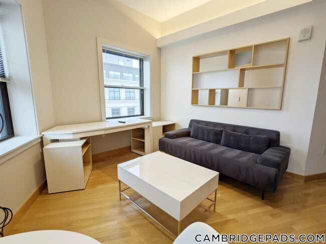 property at 115 Mt Auburn St