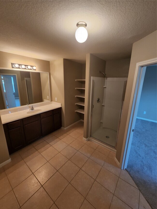 24311 Sandhill Trails Ct in Hockley, TX - Building Photo - Building Photo