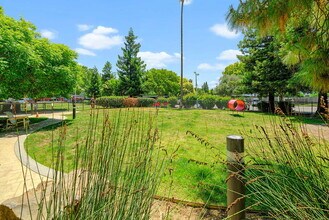 The Parc at Pruneyard in Campbell, CA - Foto de edificio - Building Photo