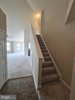 5916 Founders Hill Dr in Alexandria, VA - Building Photo