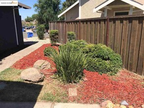 353 Hazelnut Ln in Oakley, CA - Building Photo - Building Photo