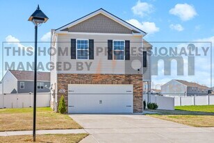 6064 Christeene Ct in White House, TN - Building Photo