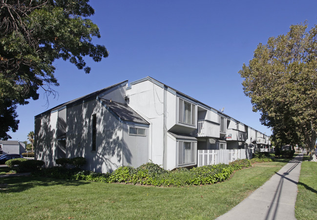 Pinewood Terrace Apartments in San Jose, CA - Building Photo - Building Photo