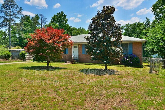 117 Hill Springs Ct in Lexington, SC - Building Photo - Building Photo