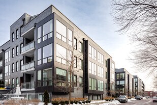 Norweta Row - Phase I in Chicago, IL - Building Photo