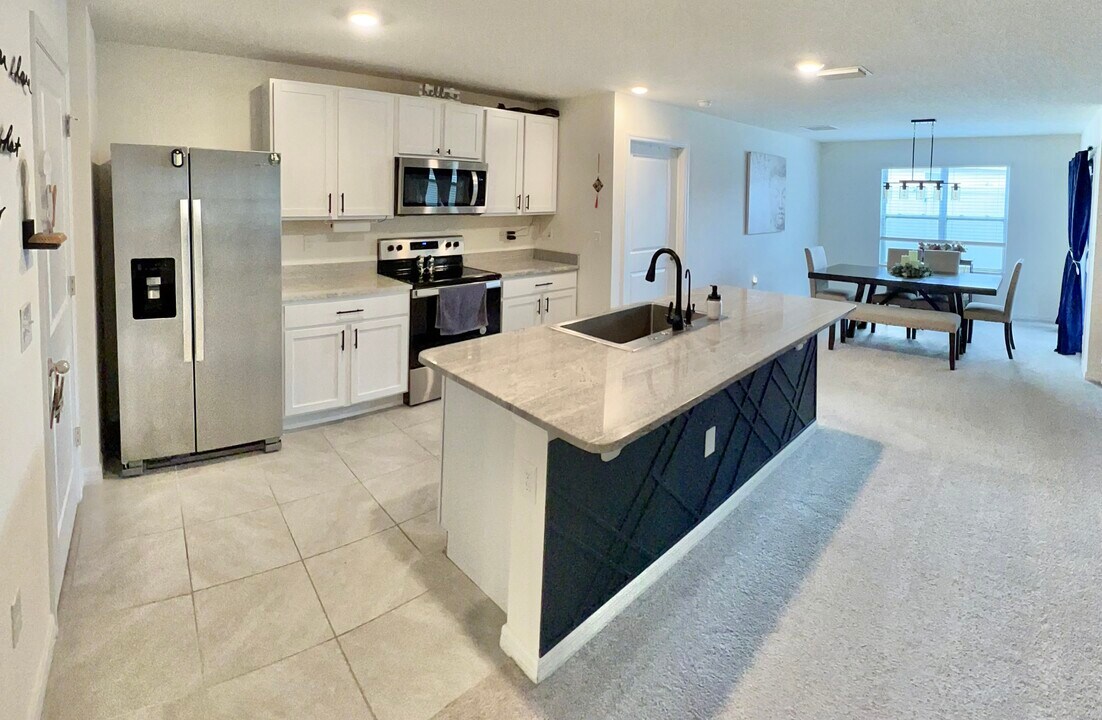 19033 NW 165th Ln in High Springs, FL - Building Photo