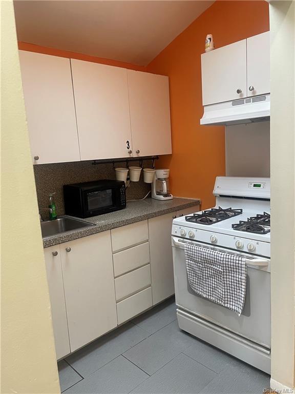 2909 Gunther Ave in Bronx, NY - Building Photo - Building Photo