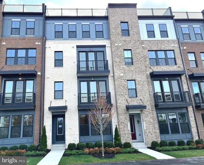 property at 43396 Farringdon Sq