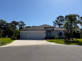 3918 Gaviota Dr in Sun City Center, FL - Building Photo