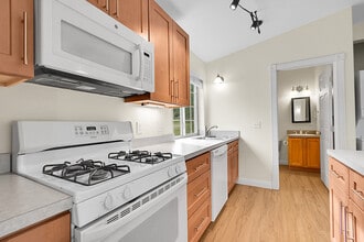 50 Spruce Dr in Bailey, CO - Building Photo - Building Photo