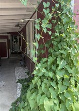 406 E Monroe St in Austin, TX - Building Photo - Building Photo