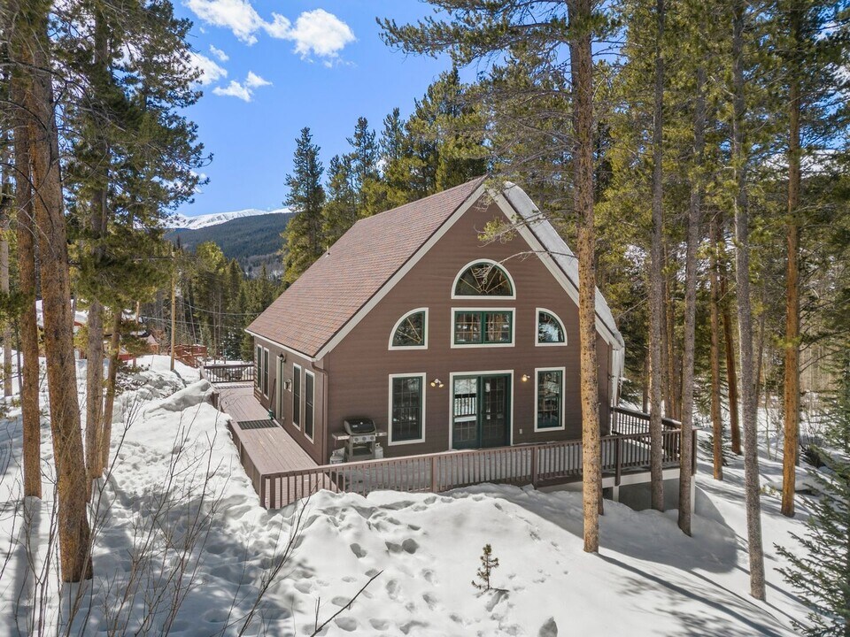 225 Creekside Dr in Breckenridge, CO - Building Photo