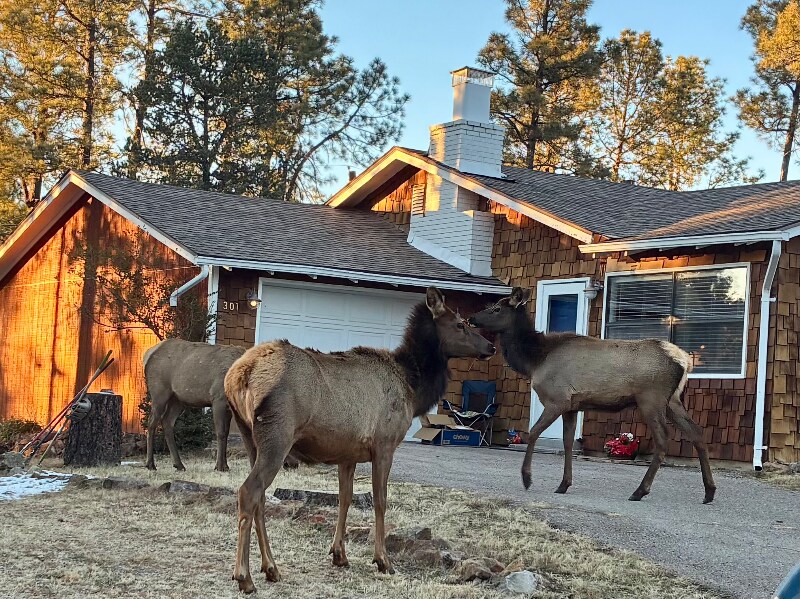 301 La Luz Ln in Ruidoso, NM - Building Photo