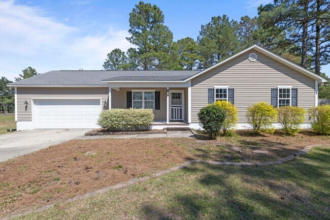 117 Brian's Woods Rd in Maple Hill, NC - Building Photo - Building Photo