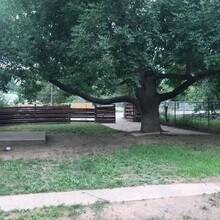 1227 City Park Ave in Fort Collins, CO - Building Photo - Building Photo