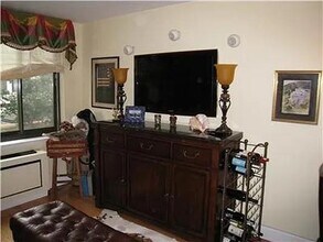 300 Albany St in New York, NY - Building Photo - Building Photo