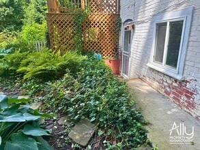 709 Park St in Charlottesville, VA - Building Photo - Building Photo