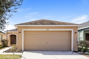 809 College Chase Dr in Ruskin, FL - Building Photo