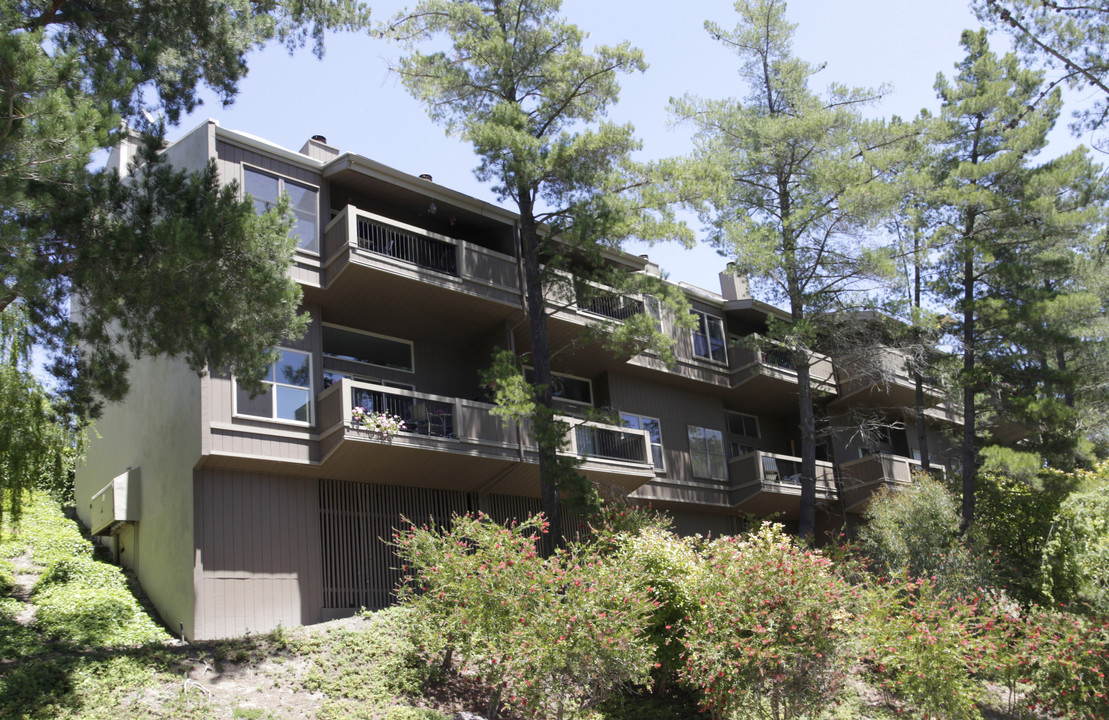 Moraga Terrace in Moraga, CA - Building Photo