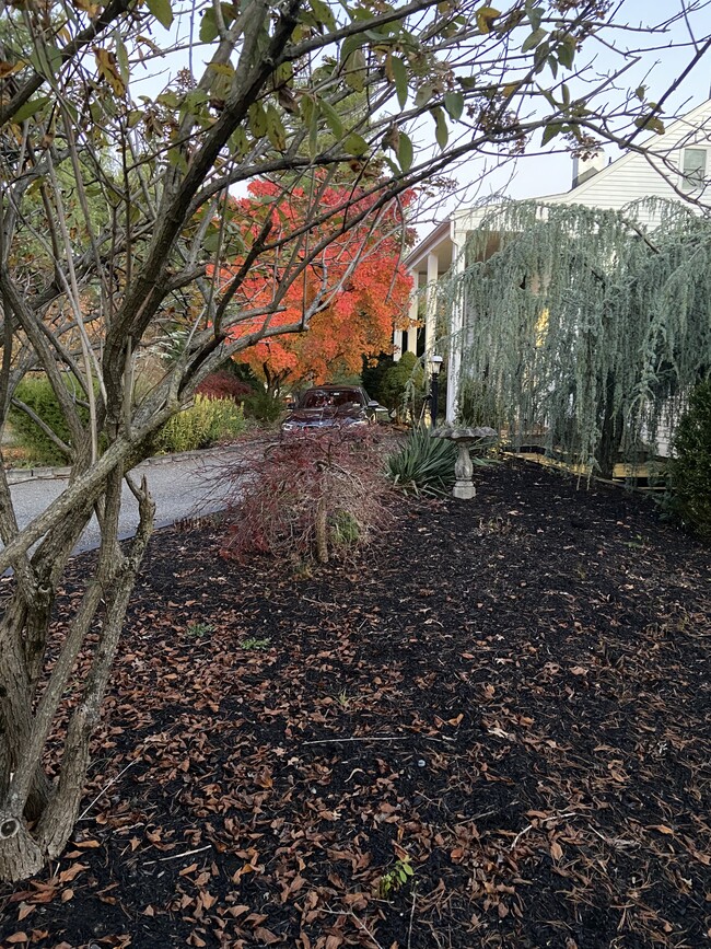 property at 423 Country Club Rd
