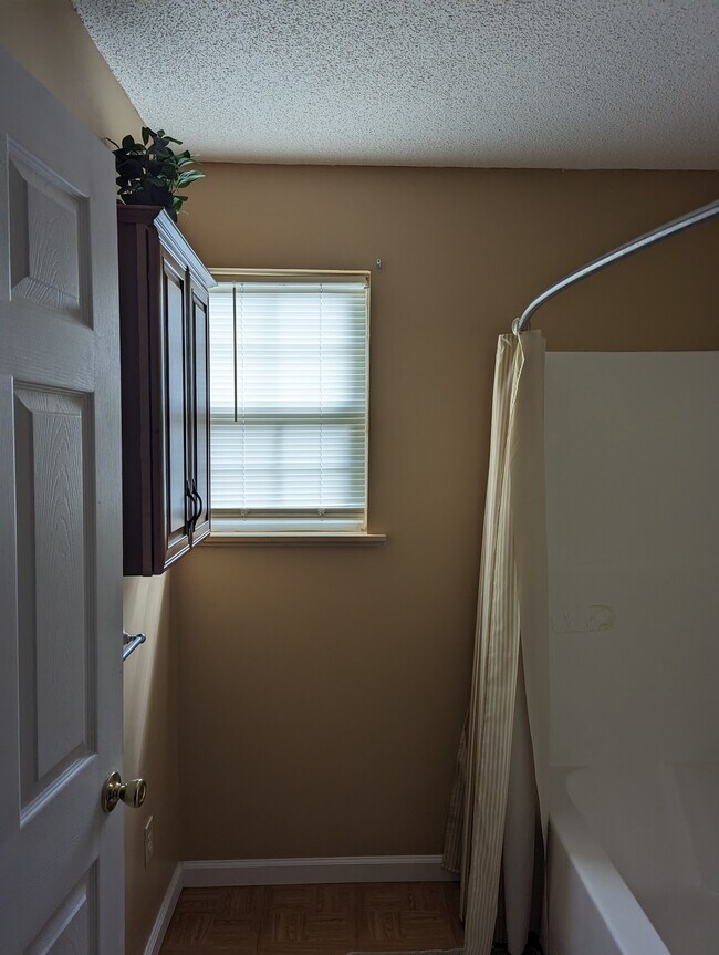 208 Henderson Dr Rentals in Troy, AL