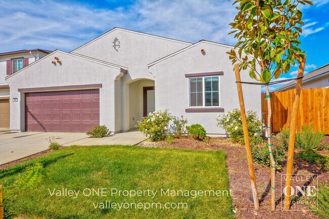 933 Tipton Ln in Patterson, CA - Building Photo - Building Photo