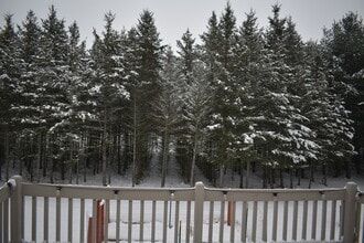 6587 Rolling Hills Dr in Rhinelander, WI - Foto de edificio - Building Photo