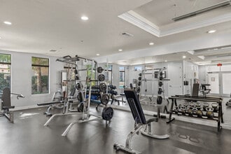 SYNC at Purgatory Creek in San Marcos, TX - Building Photo - Interior Photo