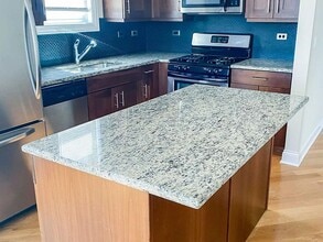 2334 N Greenview Ave in Chicago, IL - Foto de edificio - Building Photo