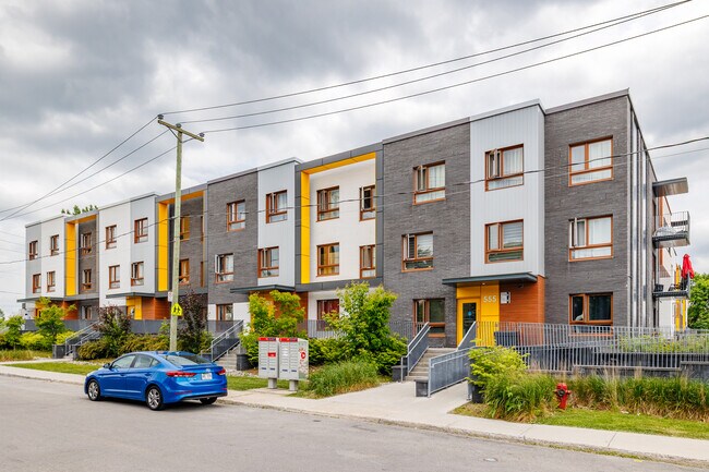 559 Saint-Louis Rue