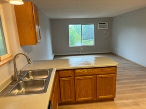 431 Central AVE W, Unit 306 in Mora, MN - Building Photo - Building Photo