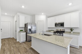 3819 Axyl Run Ct in Fulshear, TX - Building Photo - Building Photo