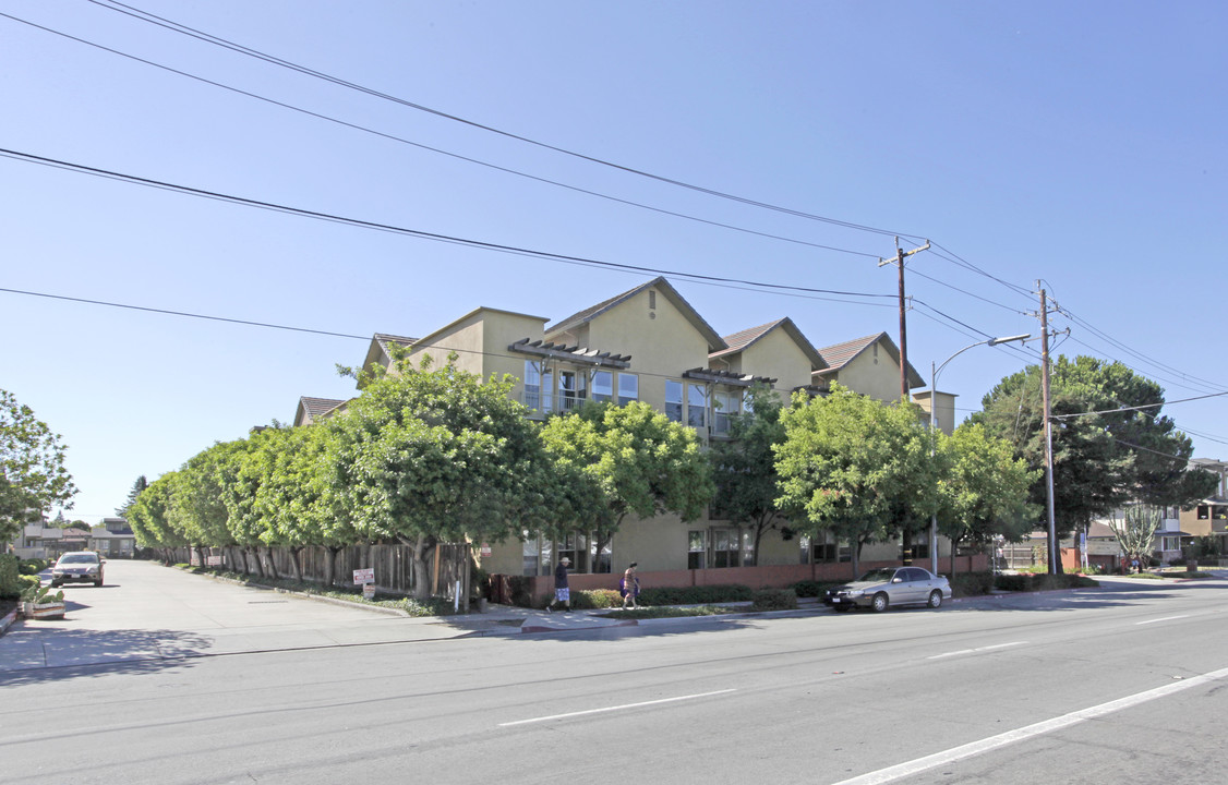 Arbor Terraces in San Jose, CA - Building Photo