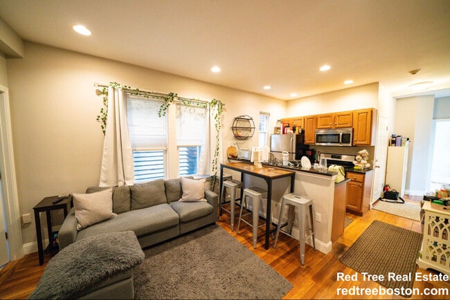 3 Alleghany St in Boston, MA - Foto de edificio - Building Photo