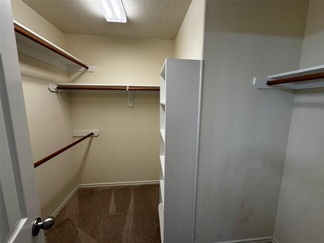 246 W Stedhill Loop in Conroe, TX - Building Photo - Building Photo