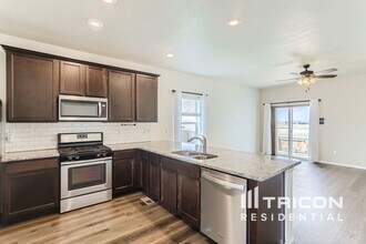 7115 Shavano Cir in Longmont, CO - Building Photo - Building Photo