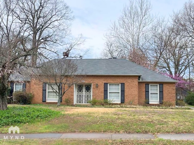 property at 2281 Webbing Dr