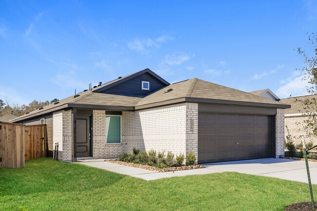 18064 Trepito Ave in New Caney, TX - Building Photo - Building Photo