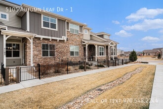5105 Autumn Leaf Dr in Timnath, CO - Building Photo - Building Photo