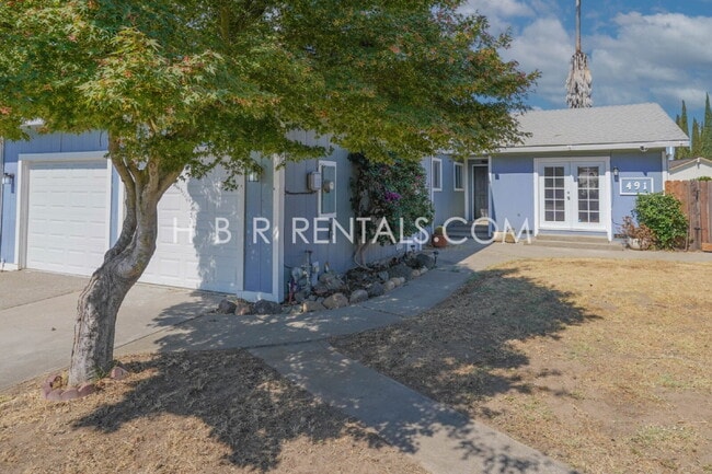 491 Ribier Ct in Manteca, CA - Building Photo - Building Photo
