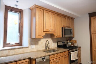 233 Richmond Ave in Buffalo, NY - Building Photo - Building Photo
