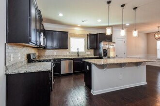260 Persian Ivy Way in Dallas, GA - Building Photo - Building Photo