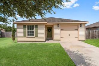 28815 Concho River Ct in Spring, TX - Building Photo - Building Photo