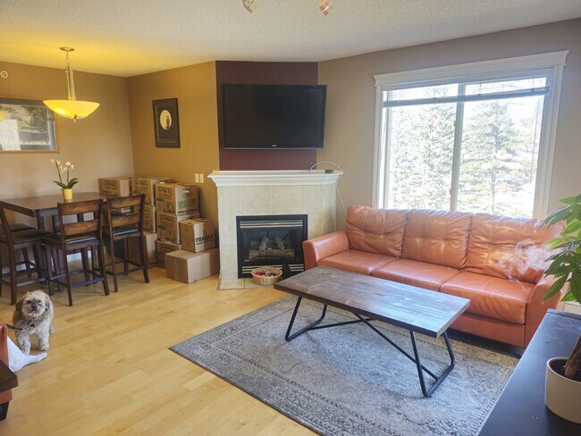 property at 735-456 56 Ave SW