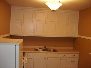 1301 1st St SW in Rochester, MN - Building Photo - Building Photo