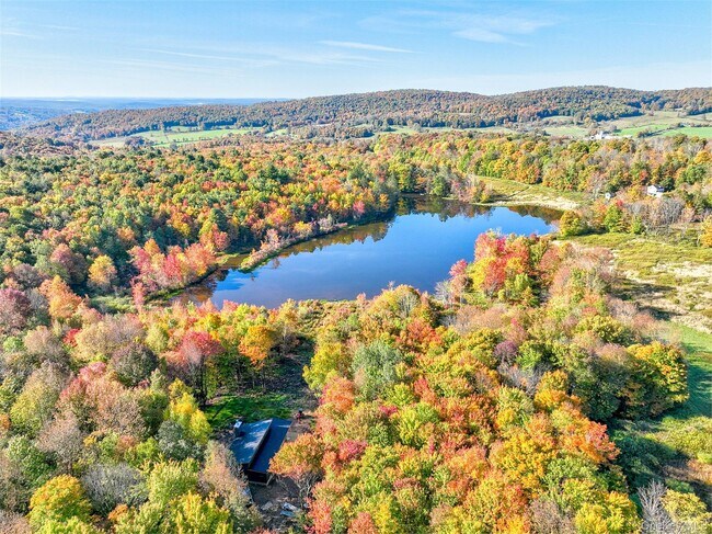 90 Meadow Ln in Fremont Center, NY - Building Photo - Building Photo
