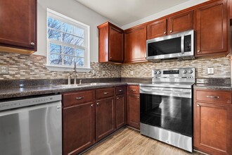 4035 Cadence Dr in Spring Hill, TN - Foto de edificio - Building Photo